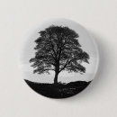 Search for sycamore badges Northumberland
