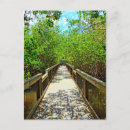 Search for ding postcards Florida