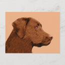 Search for cute chocolate postcards Retriever