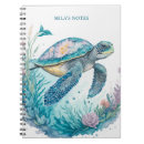 Search for turtle notebooks Coastal