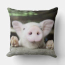 Search for piglet cushions Animals