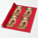 Search for airedale wrapping paper Terriers