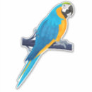 Search for blue and gold macaw stickers Colourful