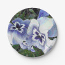 Search for pansy plates Flora