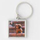 Search for passage key rings Going out