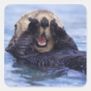 Search for made in alaska stickers Sea