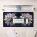 Search for white wildflower electronics Nature