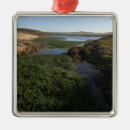 Search for point christmas tree decorations Seashore