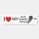 Search for blue heeler bumper stickers Dog