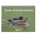Search for duck calendars Wildlife