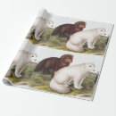 Search for cute arctic fox crafts party Wildlife