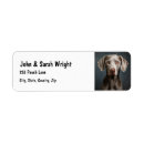 Search for weimaraner return address labels Animal