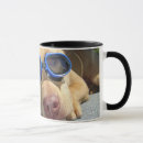 Search for american pitbull mugs Pets
