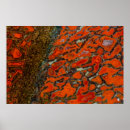 Search for dinosaur bones posters Black
