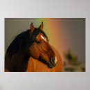 Search for rainbow horse art Storm