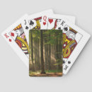Search for deciduous forest Woodland