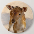 Search for doe badges Wildlife