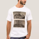 Search for vesuvius tshirts View