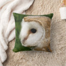 Search for barn owl cushions Owls