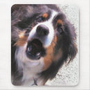 Search for herd dog mousepads Collie