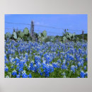 Search for texas art Country