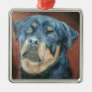Search for rottweiler christmas tree decorations Pets