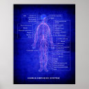 Search for nervous system posters Neurology