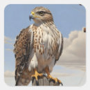 Search for bird of prey stickers Wildlife
