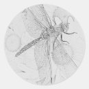 Search for dragonfly wings stickers Flight