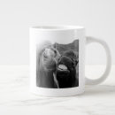 Search for pictures of horses mugs Nature