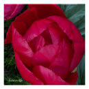 Search for in loving memory art Beautiful