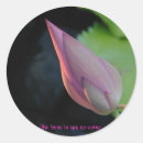 Search for purity stickers Beauty