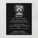 Search for dog grooming flyers Salon