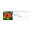 Search for pink butterfly return address labels Garden
