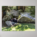 Search for habitat art Bear