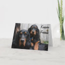 Search for gordon cards Setter