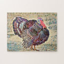 Search for turkey puzzles Fun