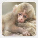 Search for nagano stickers Monkey