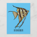 Search for angelfish postcards Aquarium