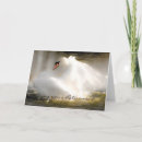 Search for beak cards Animal