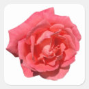 Search for floral photograph stickers Pink