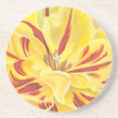 Search for tulip coasters Botanical