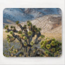 Search for mojave mousepads Usa