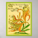 Search for tiger lily art Vintage
