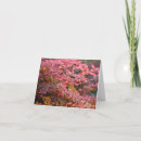 Search for autumn cards Colourful