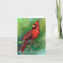 Search for red cardinal birthday cards Bird