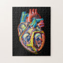 Search for human anatomy puzzles Biology