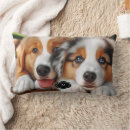 Search for animal face cushions Cute