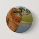 Search for rearing badges Equestrian