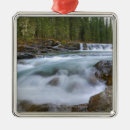 Search for rocky mountains christmas tree decorations River